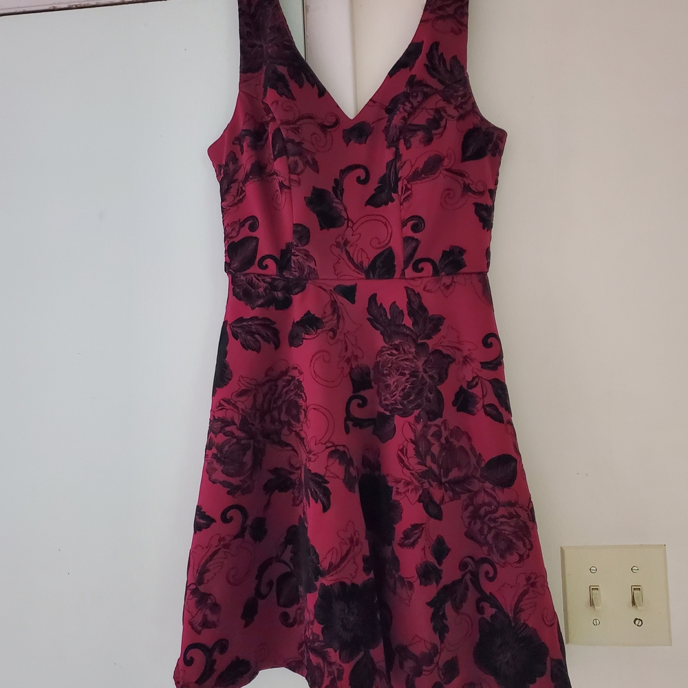 Charlotte Russe Rose and Black Floral Mini Dress